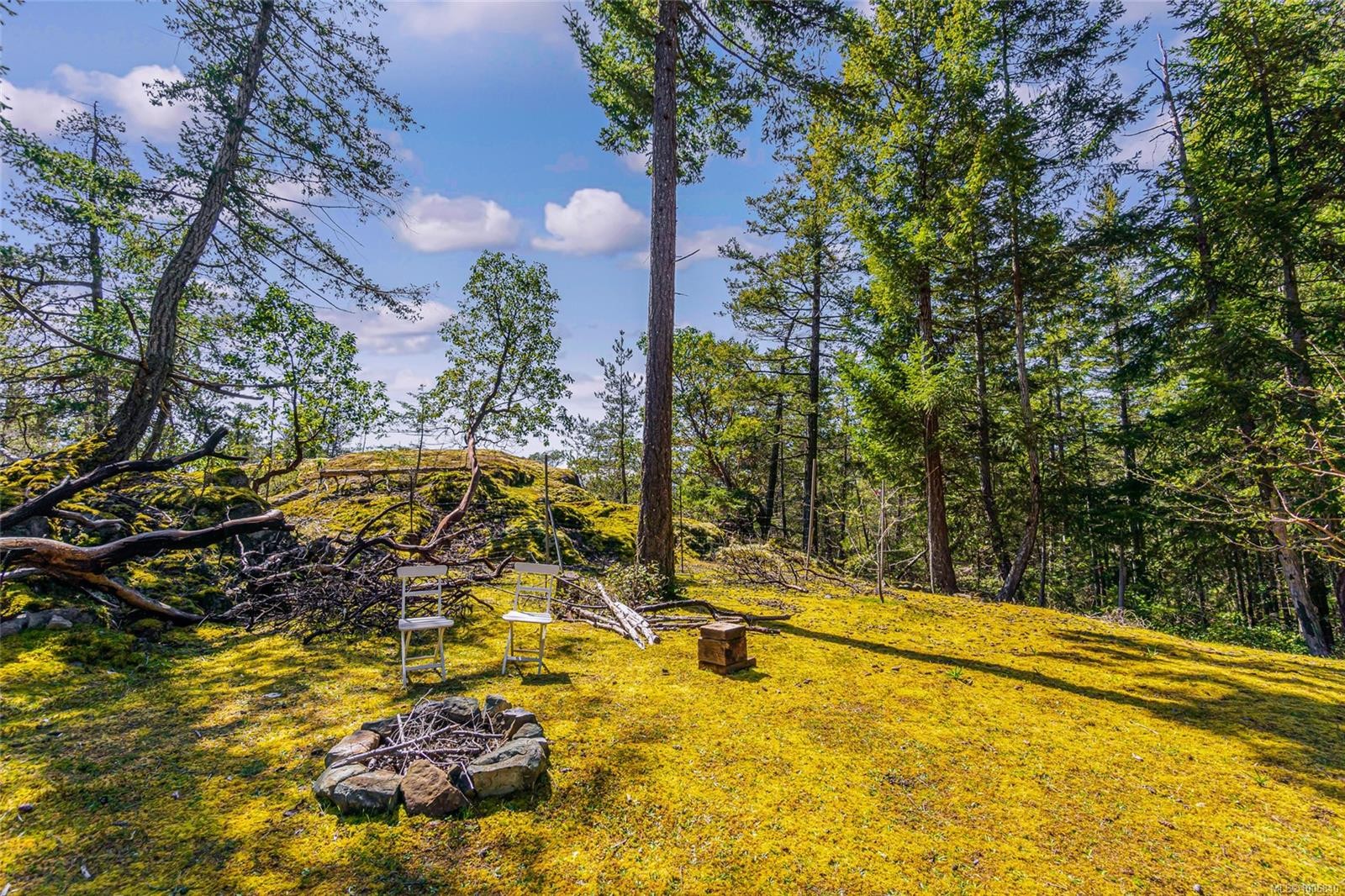 









Lot C


Elderberry

Lane,
Lasqueti Island,




BC
V0R 2J0

