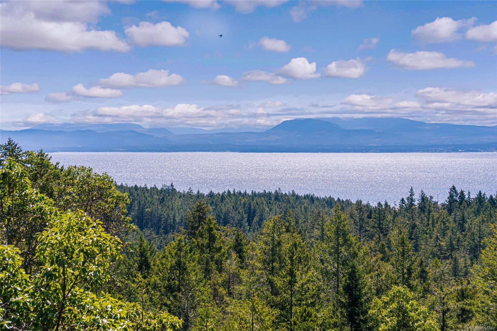 









Lot C


Elderberry

Lane,
Lasqueti Island,




BC
V0R 2J0

