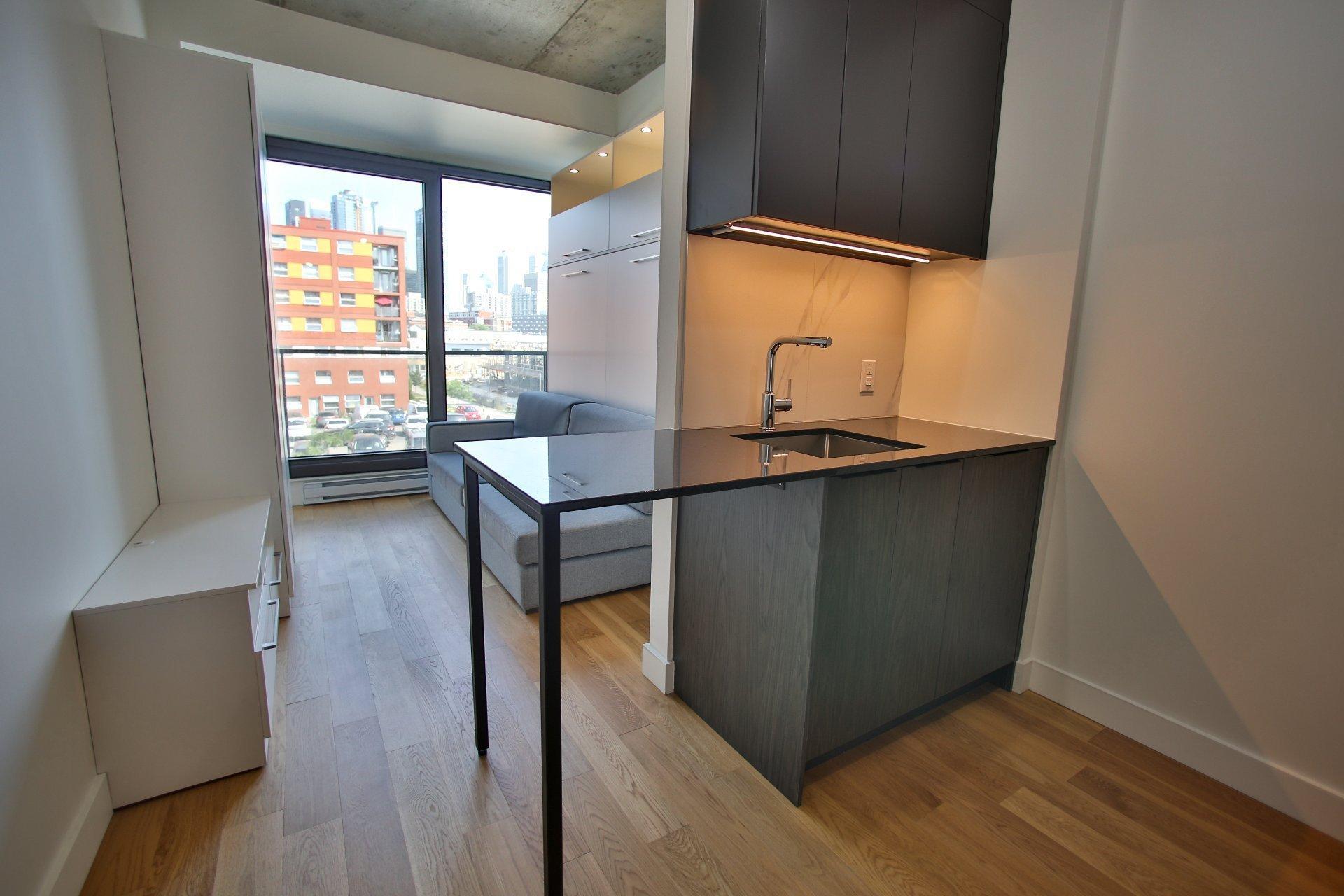 









1550


Rue des Bassins

, 312,
Montréal (Le Sud-Ouest),




QC
H3C0W5


