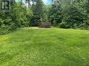 Large Level Back Yard