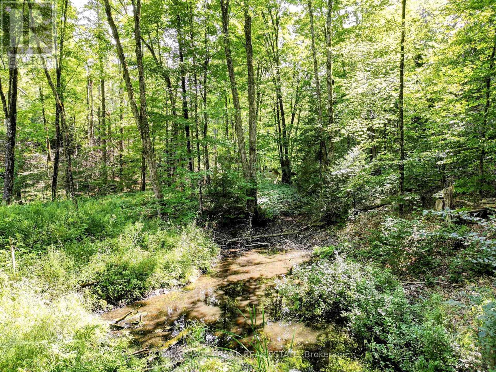 












843 LASSWADE ROAD

,
North Kawartha,







Ontario
K0L1A0

