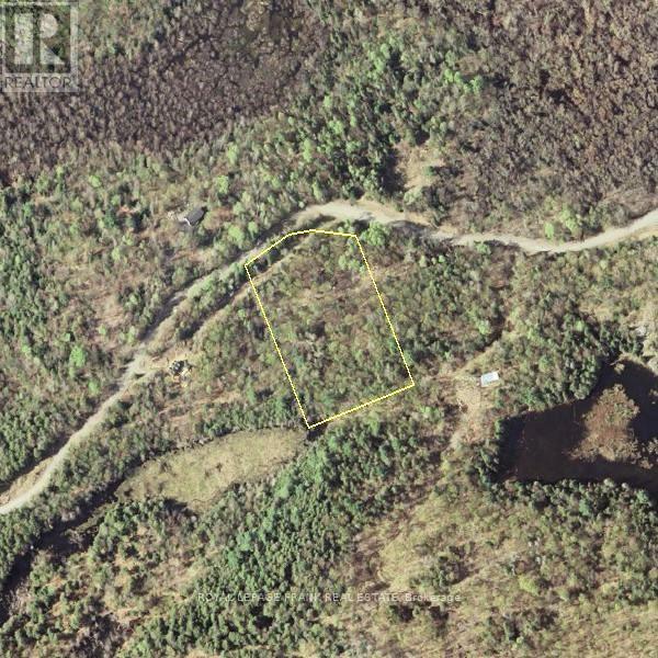 












843 LASSWADE ROAD

,
North Kawartha,







Ontario
K0L1A0

