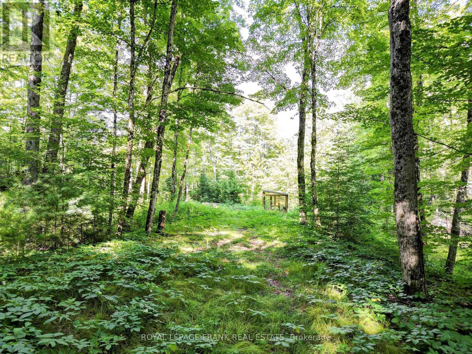 












843 LASSWADE ROAD

,
North Kawartha,







Ontario
K0L1A0

