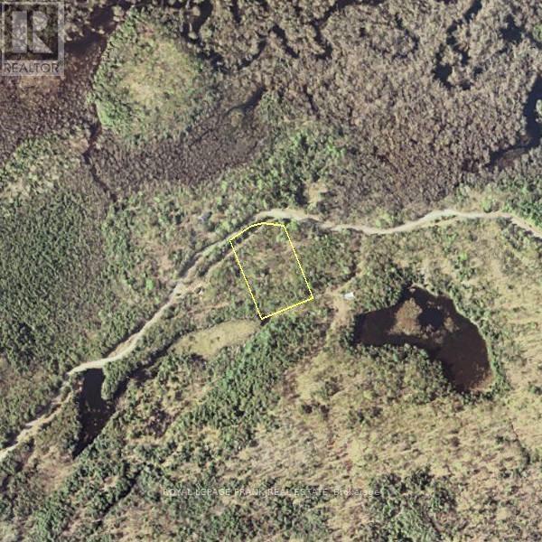 












843 LASSWADE ROAD

,
North Kawartha,







Ontario
K0L1A0

