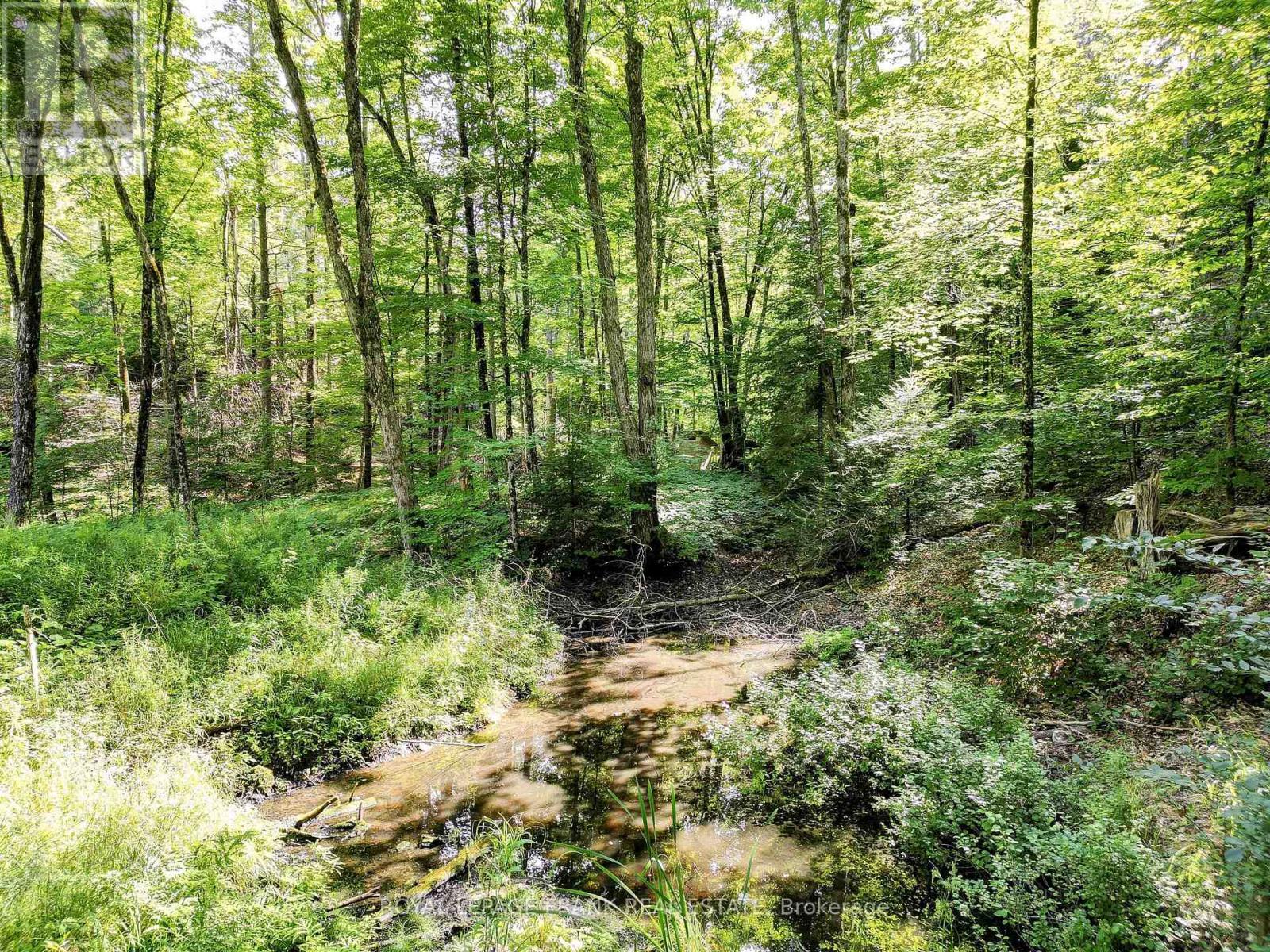 












843 LASSWADE ROAD

,
North Kawartha,







Ontario
K0L1A0

