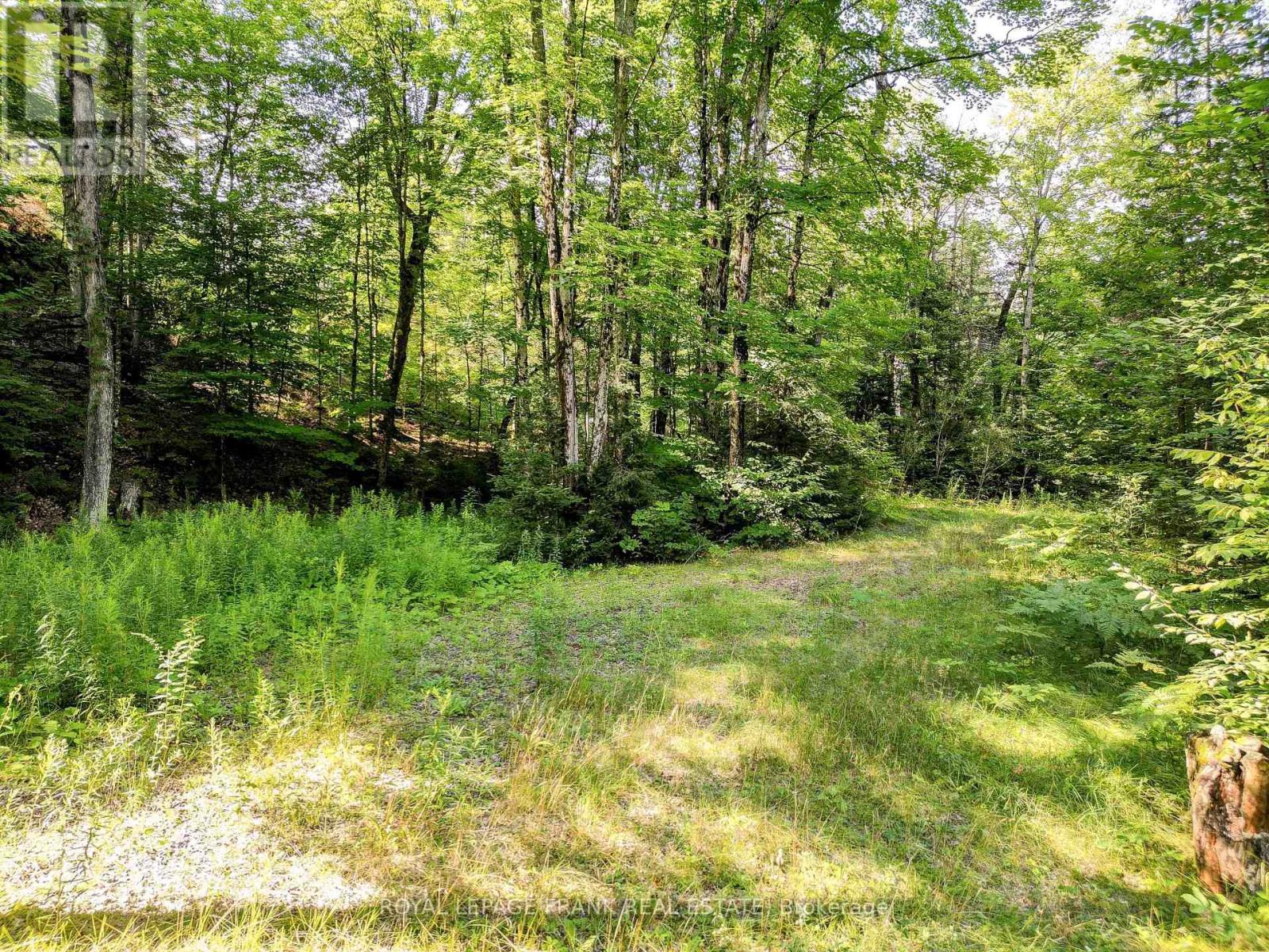 












843 LASSWADE ROAD

,
North Kawartha,







Ontario
K0L1A0

