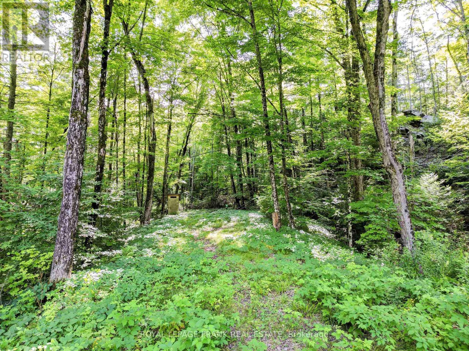












843 LASSWADE ROAD

,
North Kawartha,







Ontario
K0L1A0

