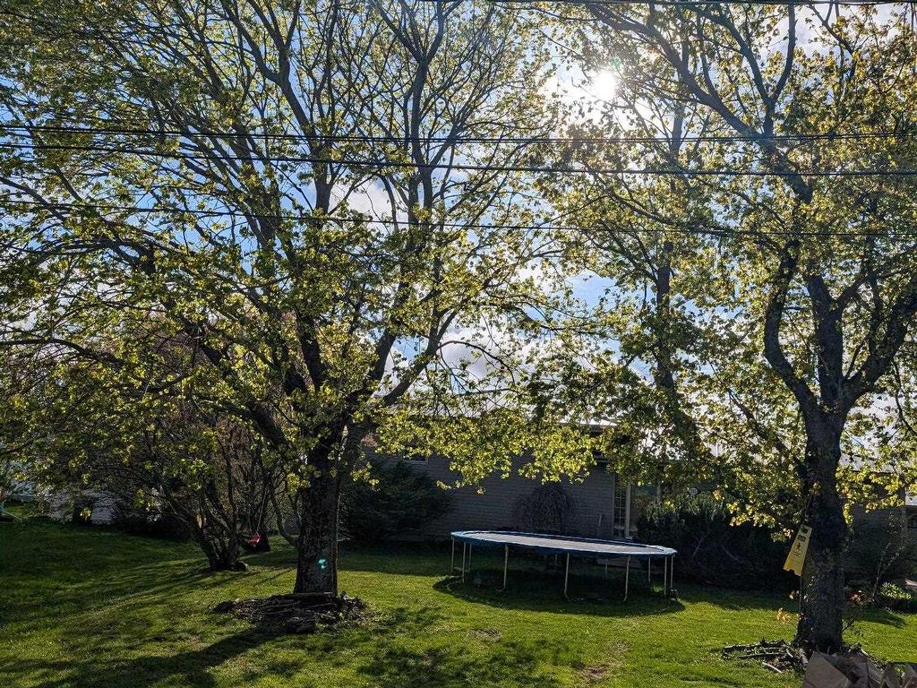 












105 Doyle Court

,
Summerside,




PE
C1N 5H4

