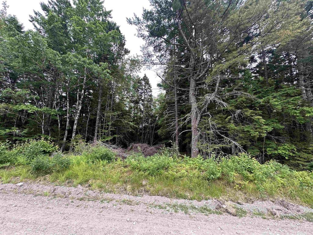 












Lot Old Italy Cross Road

,
Italy Cross,







NS
B4V 0L3

