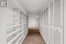 Downstairs Hallway Storage