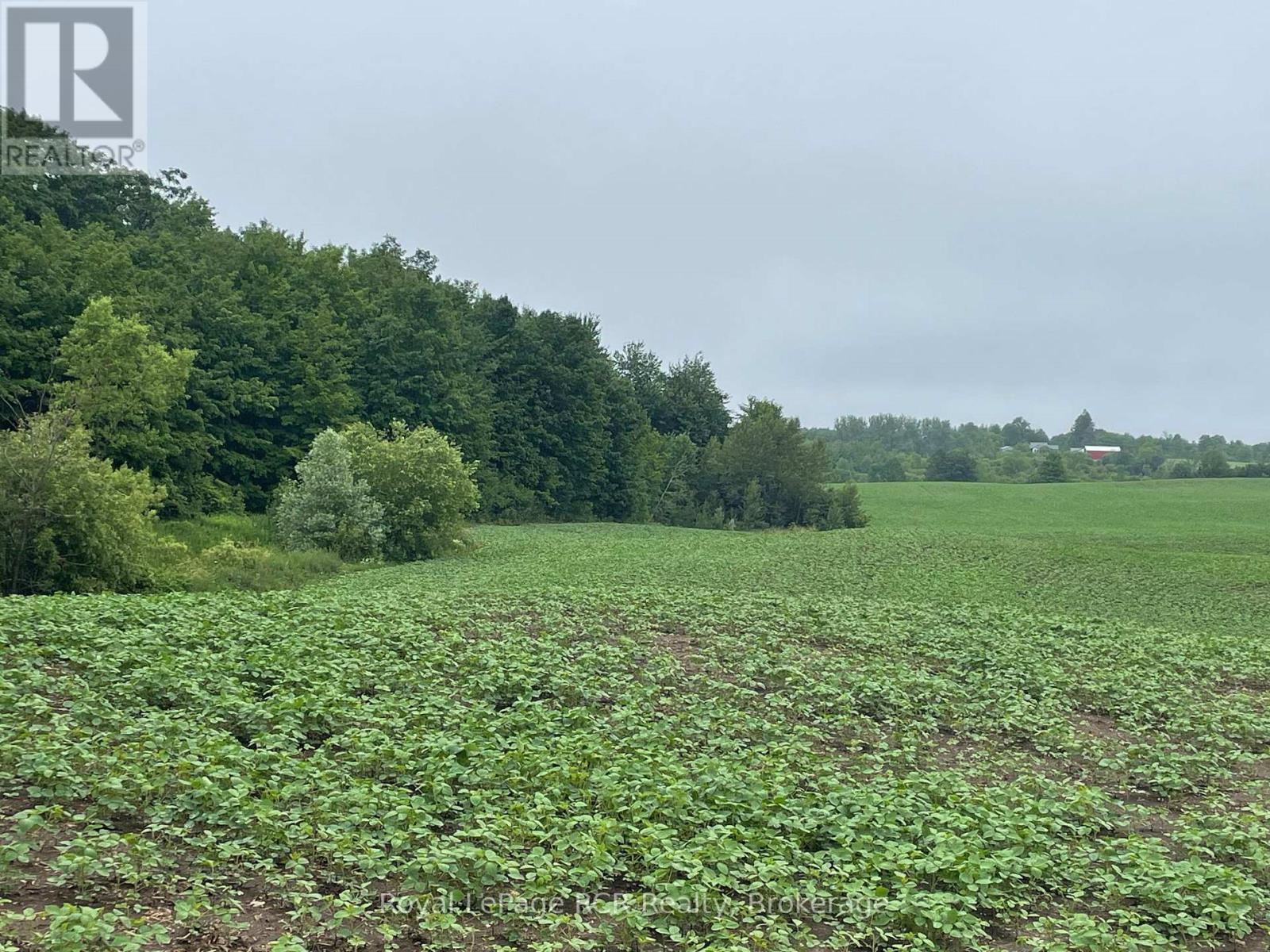 












714261 BASELINE ROAD

,
Grey Highlands,







Ontario
N0C1E0

