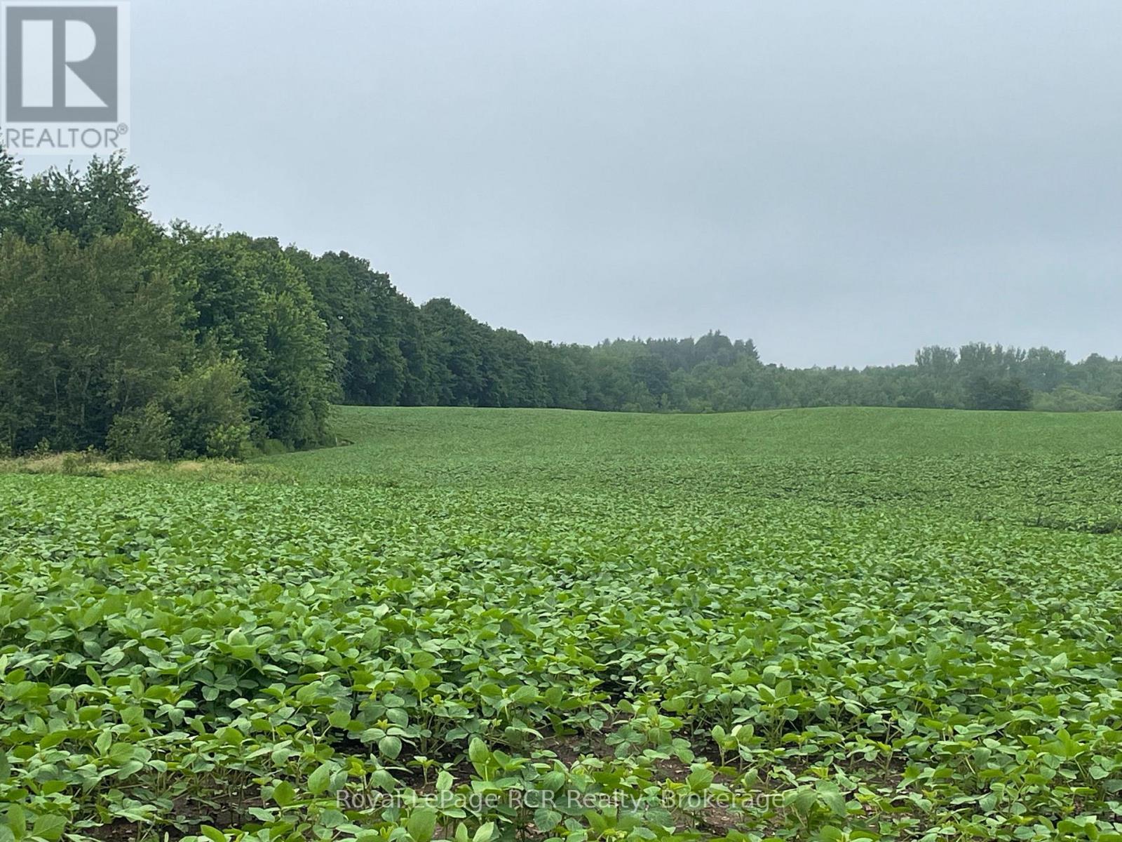 












714261 BASELINE ROAD

,
Grey Highlands,







Ontario
N0C1E0

