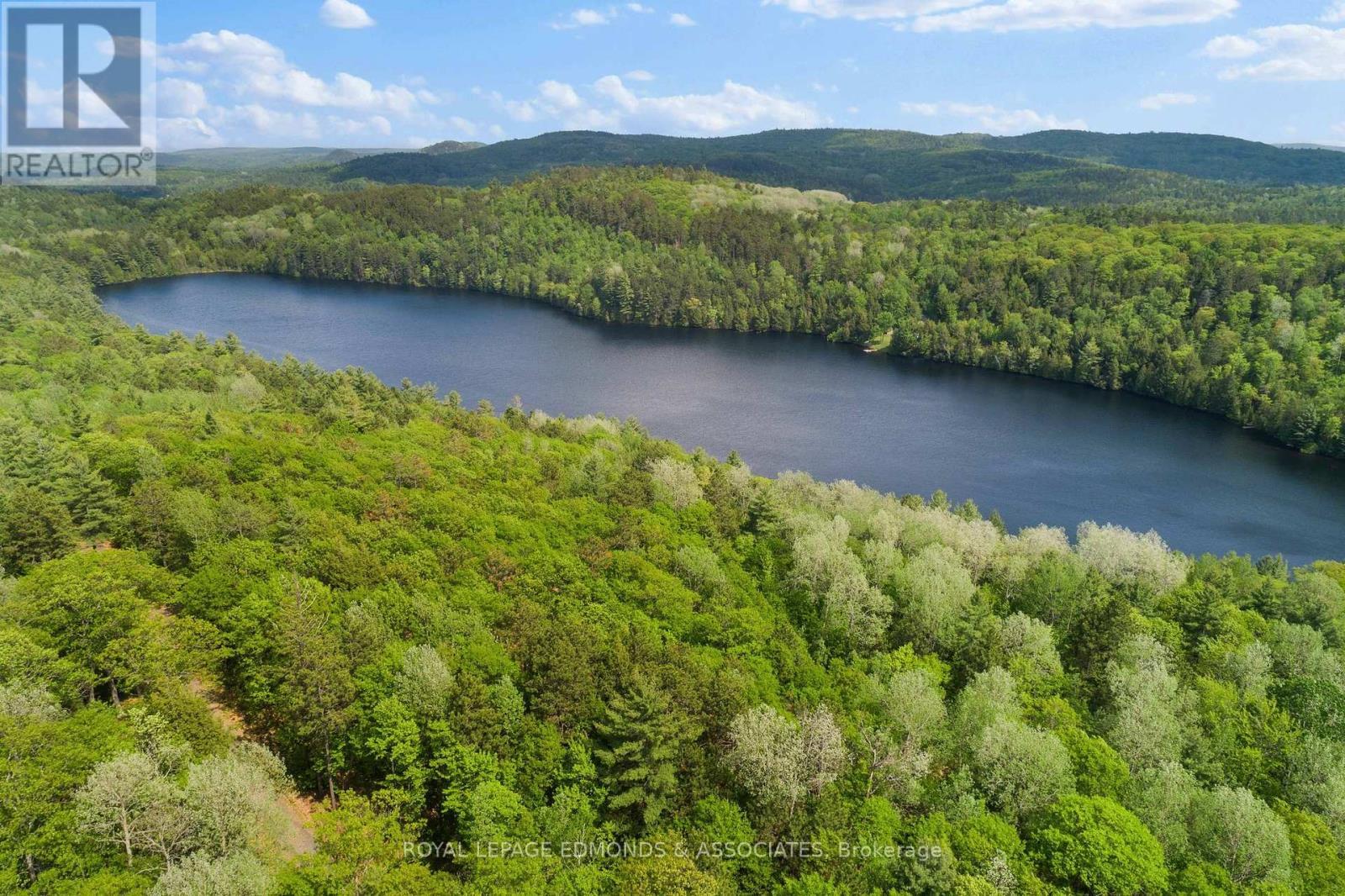 












18993 HIGHWAY 60

,
Madawaska Valley,







Ontario
K0J1B0

