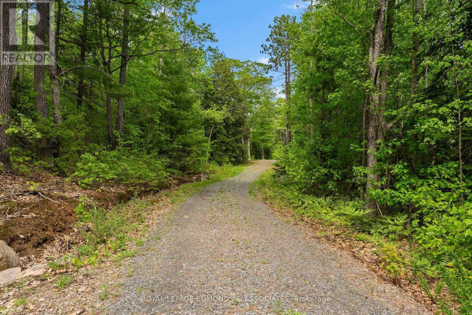 












18993 HIGHWAY 60

,
Madawaska Valley,







Ontario
K0J1B0

