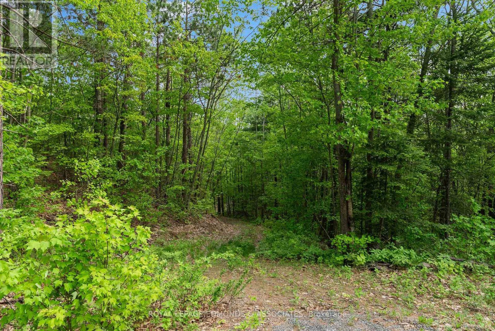 












18993 HIGHWAY 60

,
Madawaska Valley,







Ontario
K0J1B0

