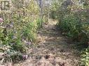 trails
