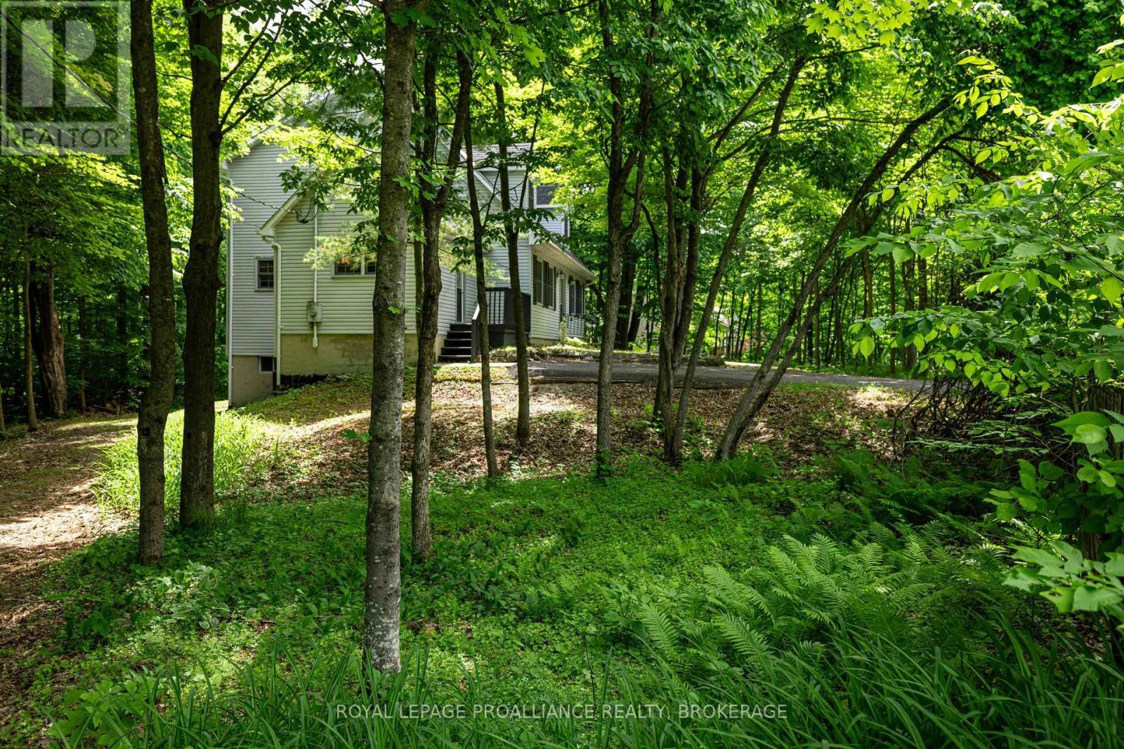 












1403 NORWAY ROAD

,
Frontenac (Frontenac South),




Ontario
K0H2L0

