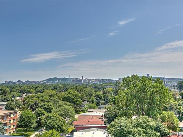 









2335


Ch. Manella

, 208,
Mont-Royal,




QC
H4P0B3


