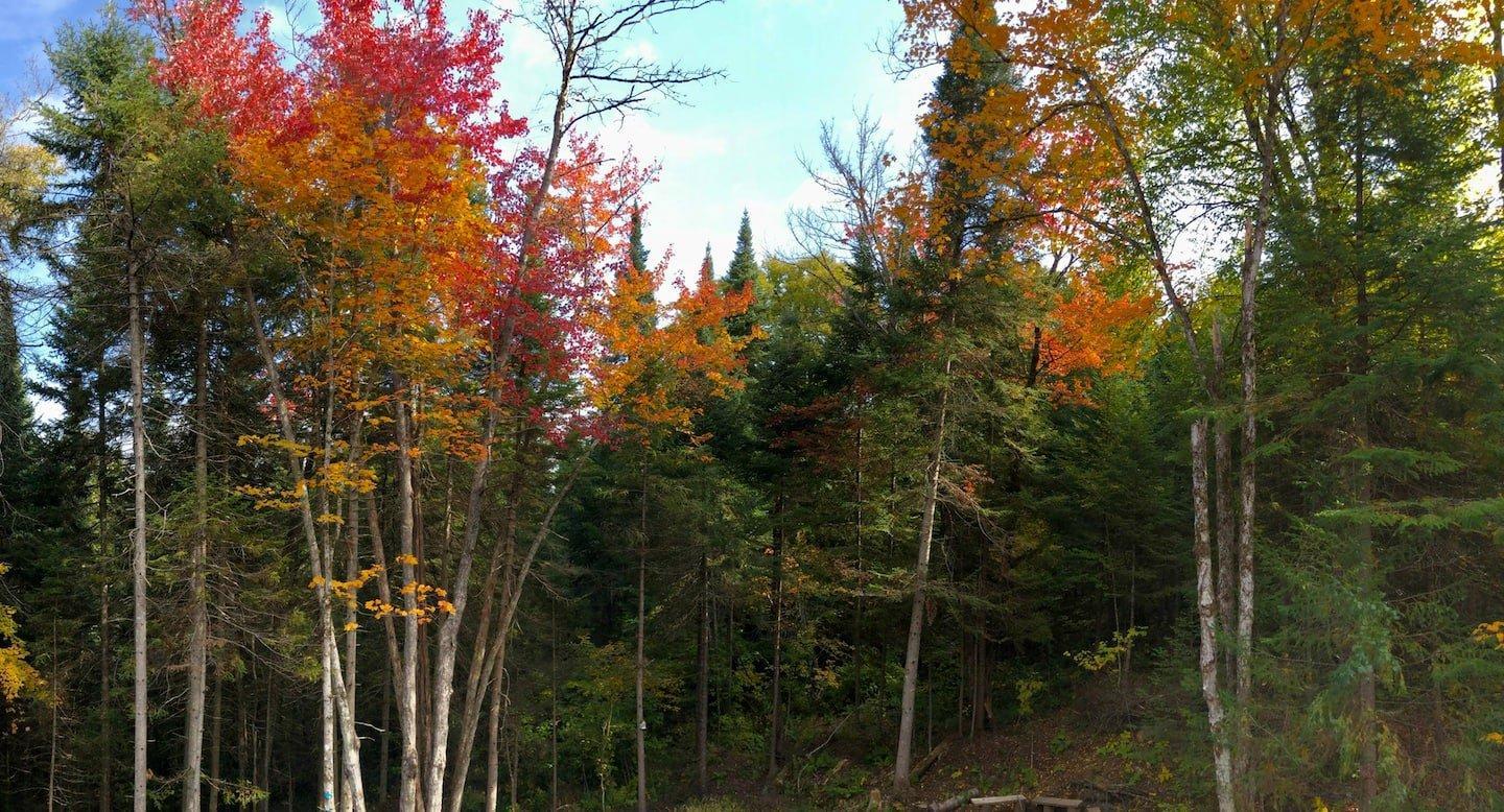 









74


Imp. du Cerf

,
Lac-Supérieur,




QC
J0T1J0

