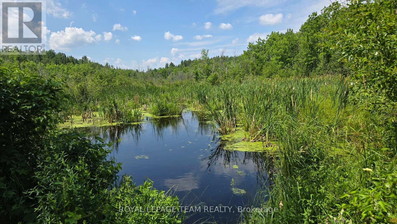 












00 HIGHWAY 41 HIGHWAY

,
Bonnechere Valley,







Ontario
K0J1T0

