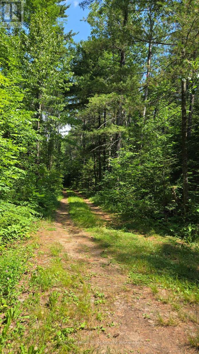 












00 HIGHWAY 41 HIGHWAY

,
Bonnechere Valley,







Ontario
K0J1T0

