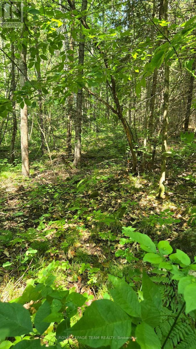 












00 HIGHWAY 41 HIGHWAY

,
Bonnechere Valley,







Ontario
K0J1T0

