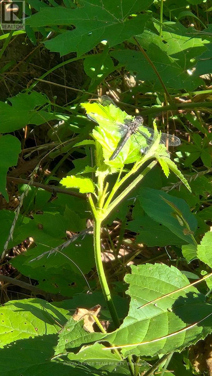 












00 HIGHWAY 41 HIGHWAY

,
Bonnechere Valley,







Ontario
K0J1T0

