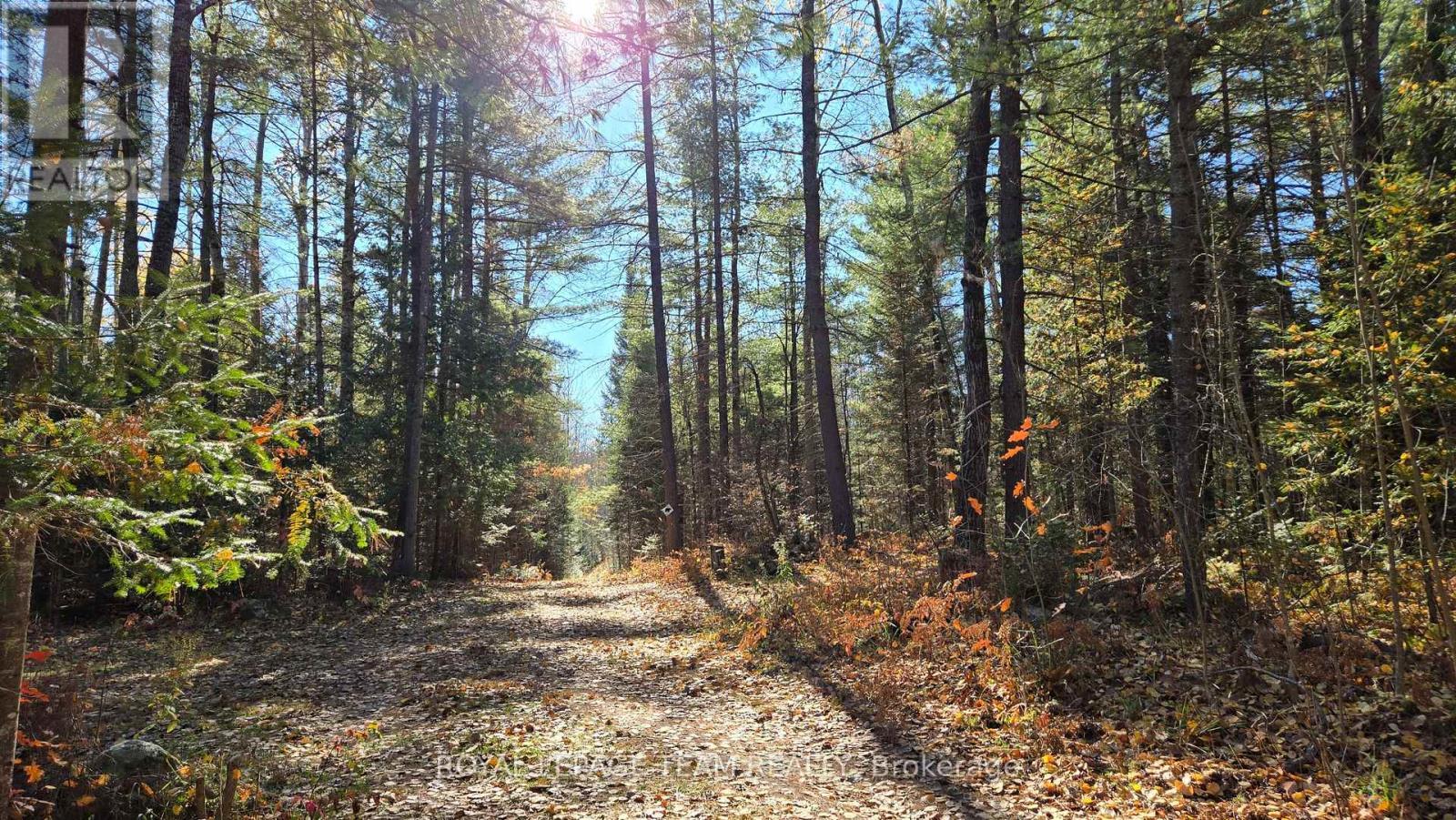 












00 HIGHWAY 41 HIGHWAY

,
Bonnechere Valley,







Ontario
K0J1T0

