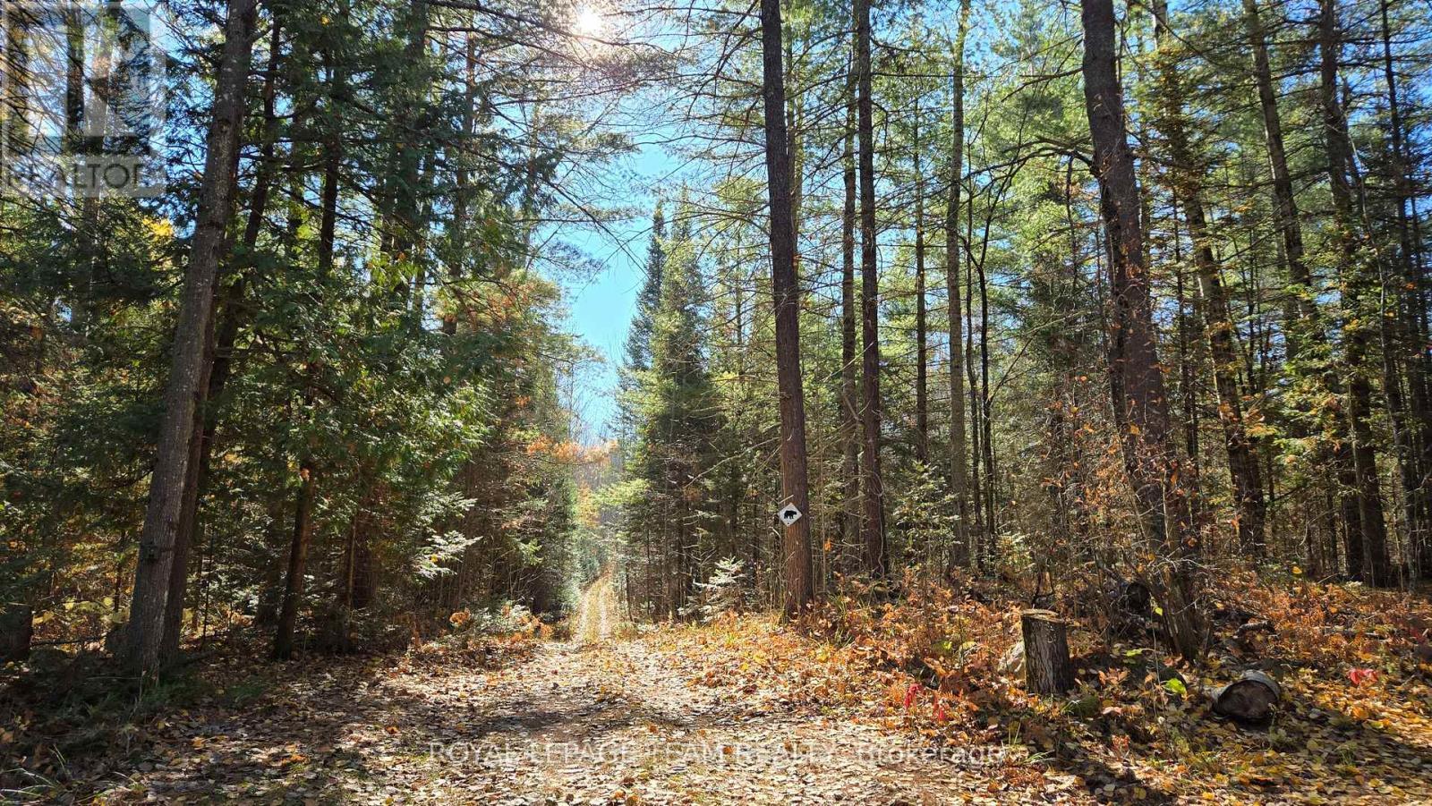 












00 HIGHWAY 41 HIGHWAY

,
Bonnechere Valley,







Ontario
K0J1T0

