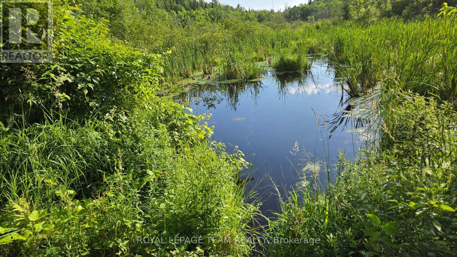 












00 HIGHWAY 41 HIGHWAY

,
Bonnechere Valley,







Ontario
K0J1T0

