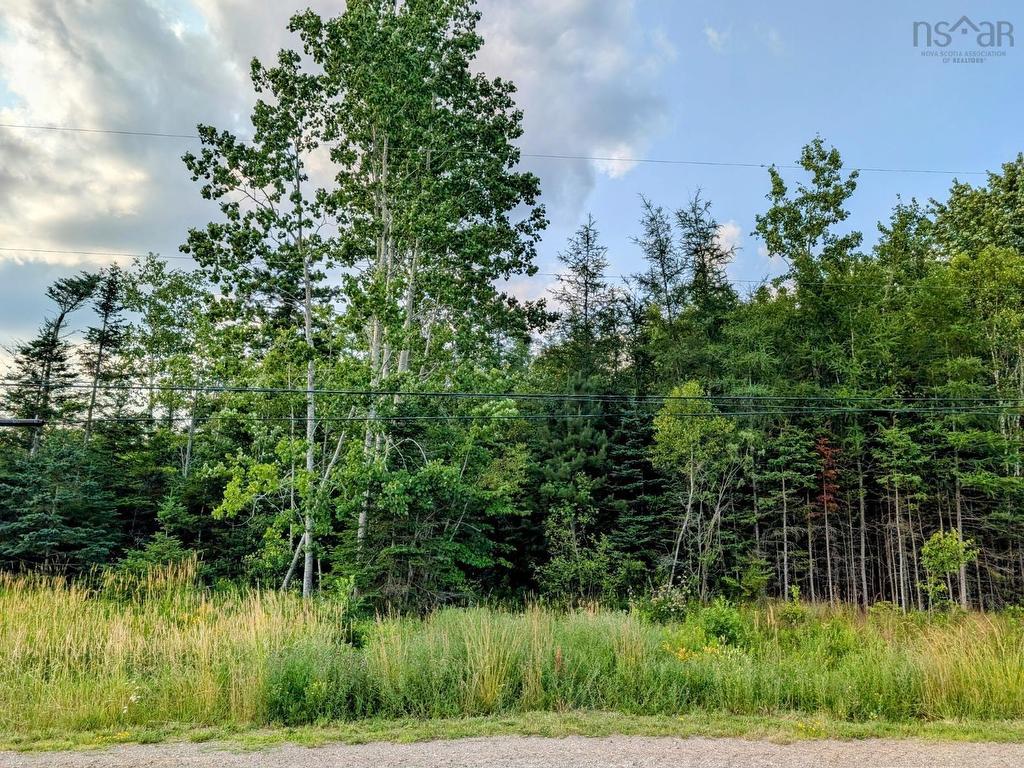 












Lot 4 2059 NO 289 Highway

,
Middle Stewiacke,







NS
B0N 1C0

