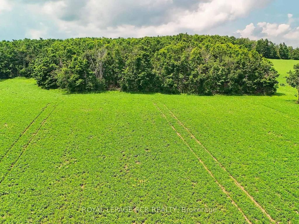









716450


1st Line

N/A East,
Mulmur,







ON
L9V 0E9

