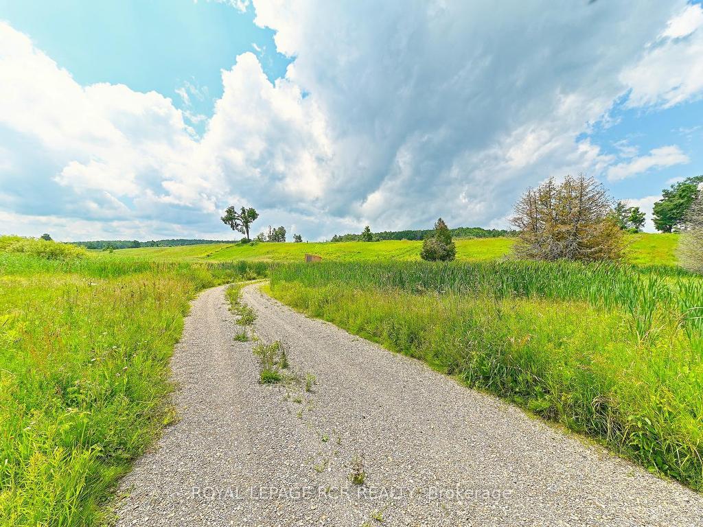 









716450


1st Line

N/A East,
Mulmur,







ON
L9V 0E9

