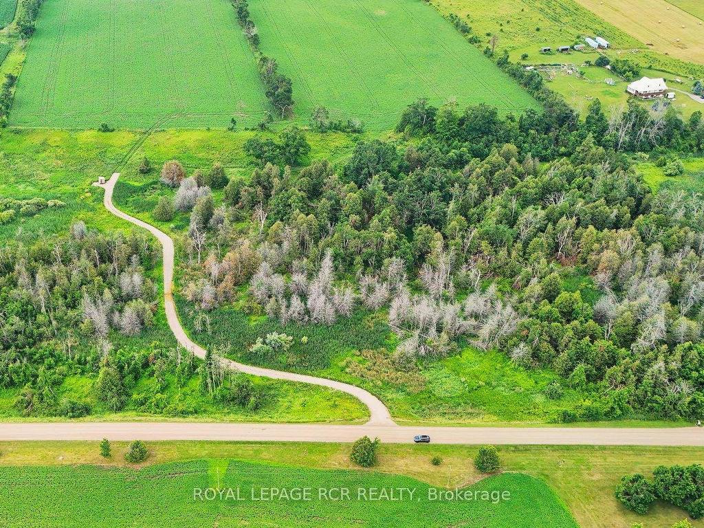 









716450


1st Line

N/A East,
Mulmur,







ON
L9V 0E9

