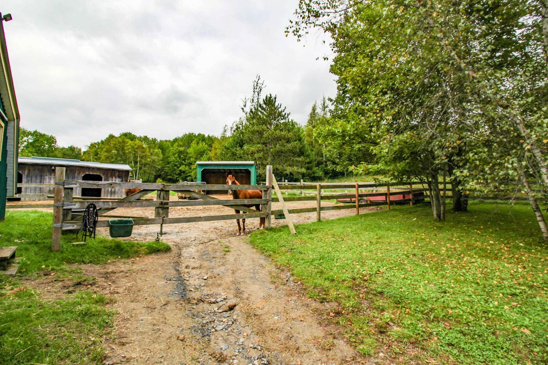 









7655


Rue St-François N.

,
Sherbrooke (Brompton/Rock Forest/Saint-Élie/Deauville),




QC
J1C0V4

