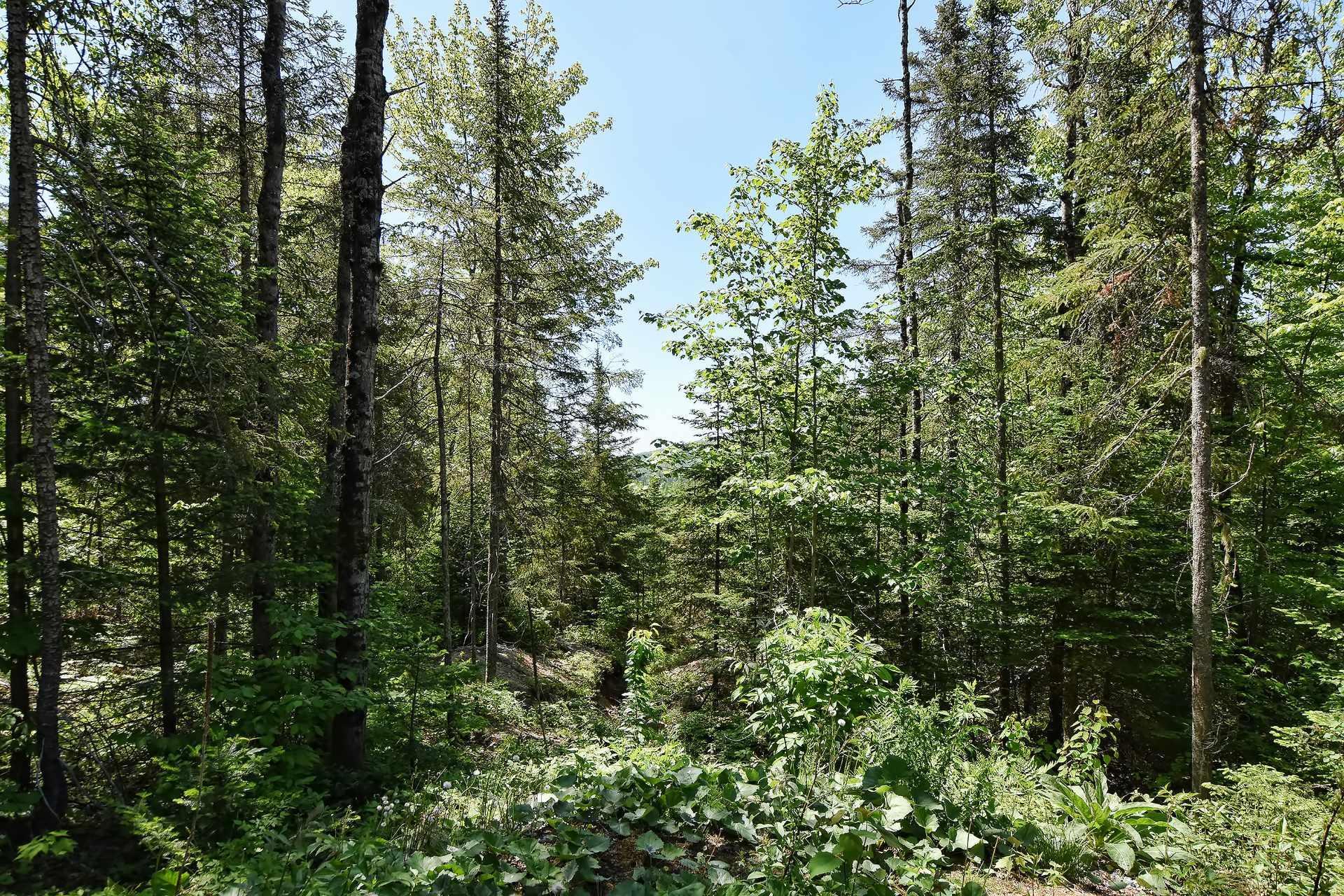 









51Z

 - 53Z


Av. Gagné

,
Saint-Côme,




QC
J0K2B0

