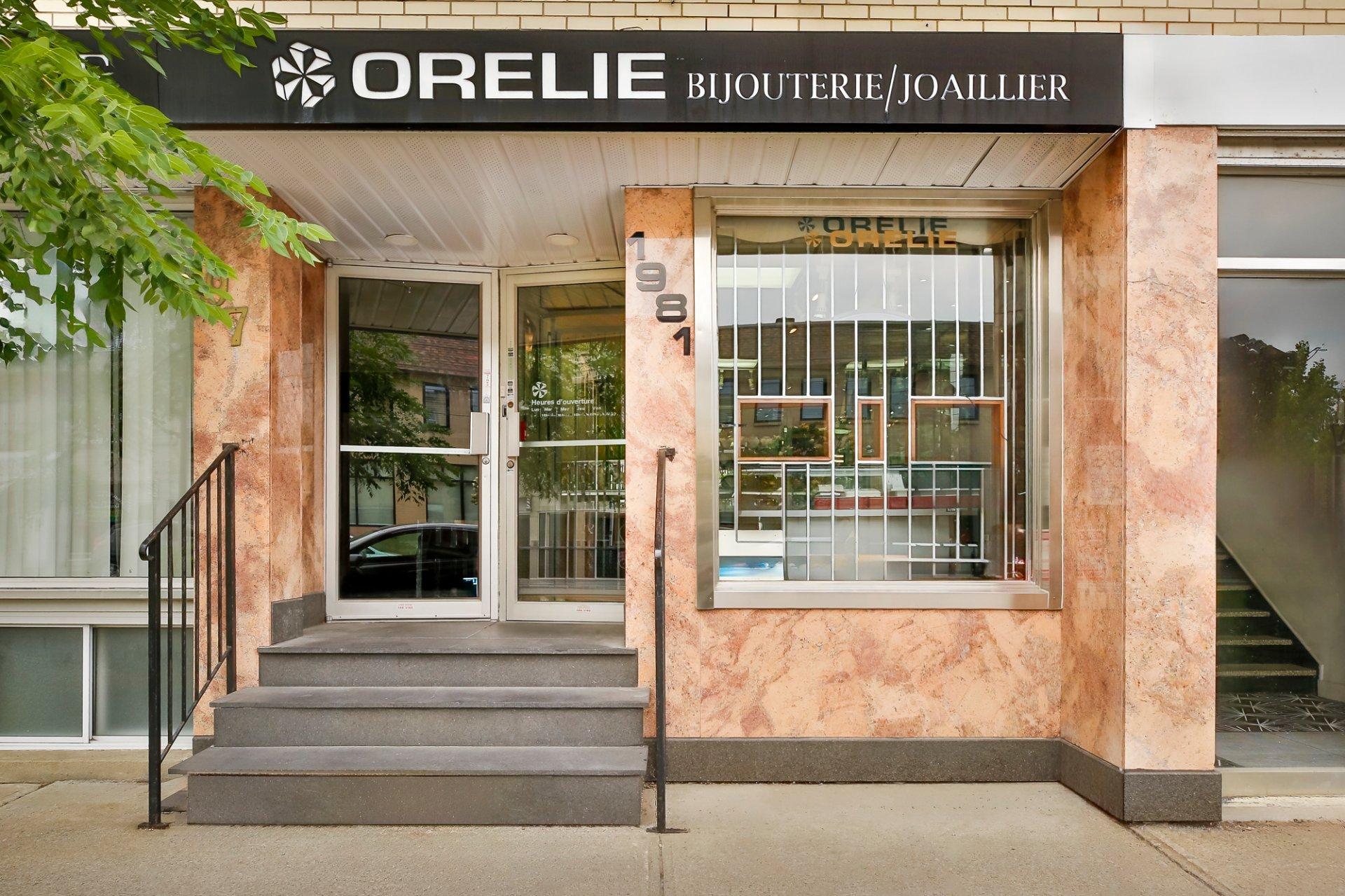 









1981


Rue Jean-Talon E.

,
Montréal (Villeray/Saint-Michel/Parc-Extension),




QC
H2E1T9

