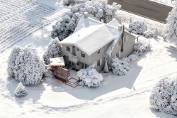 Featured Listing Photo