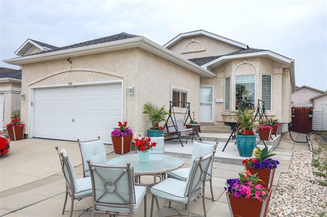 









369


Bairdmore

BLVD,
Winnipeg,




MB
R3T 6B1

