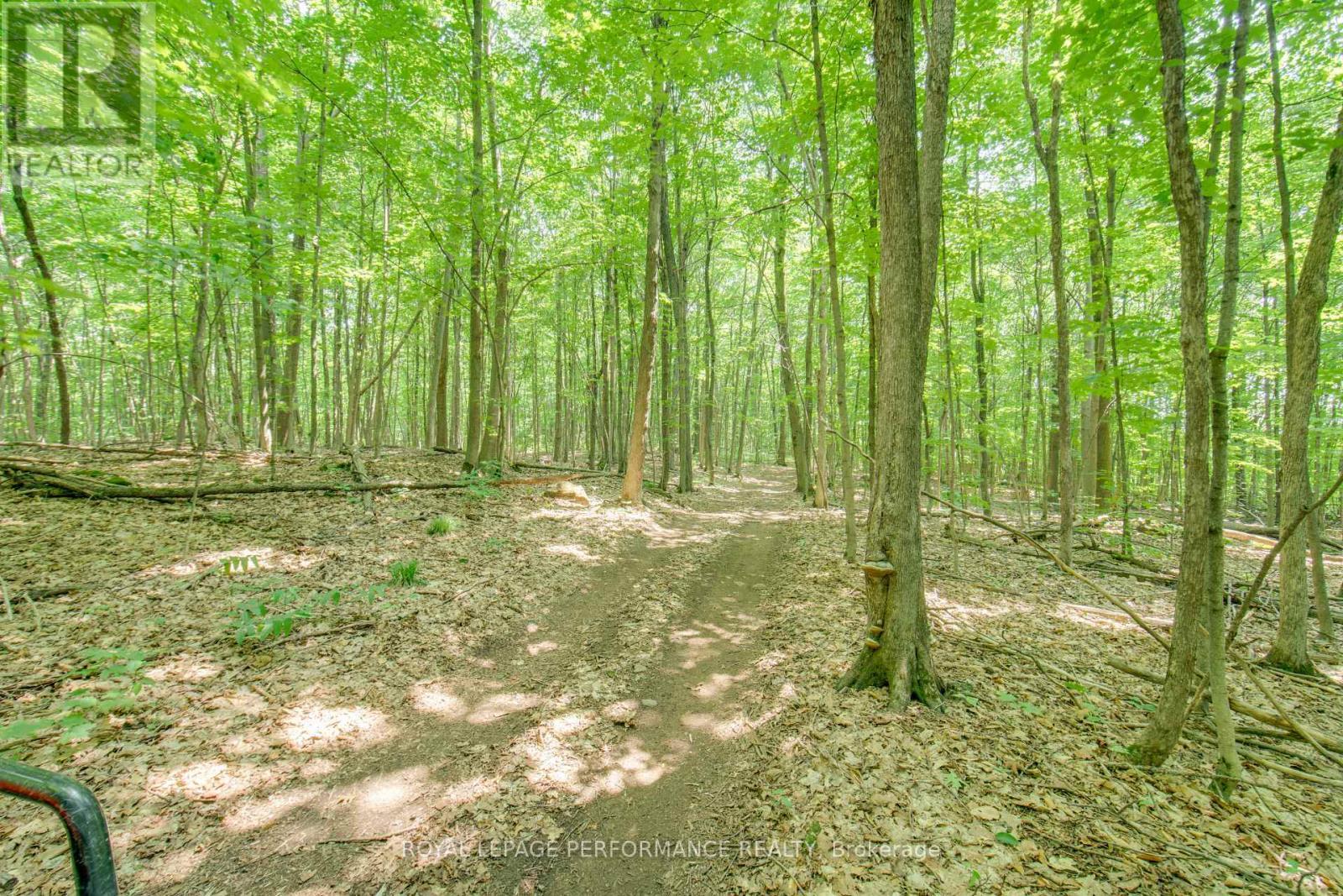 












2575 CONCESSION 2 ROAD

,
Alfred and Plantagenet,




Ontario
K0B1J0


