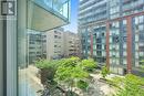 Greenery in Courtyard