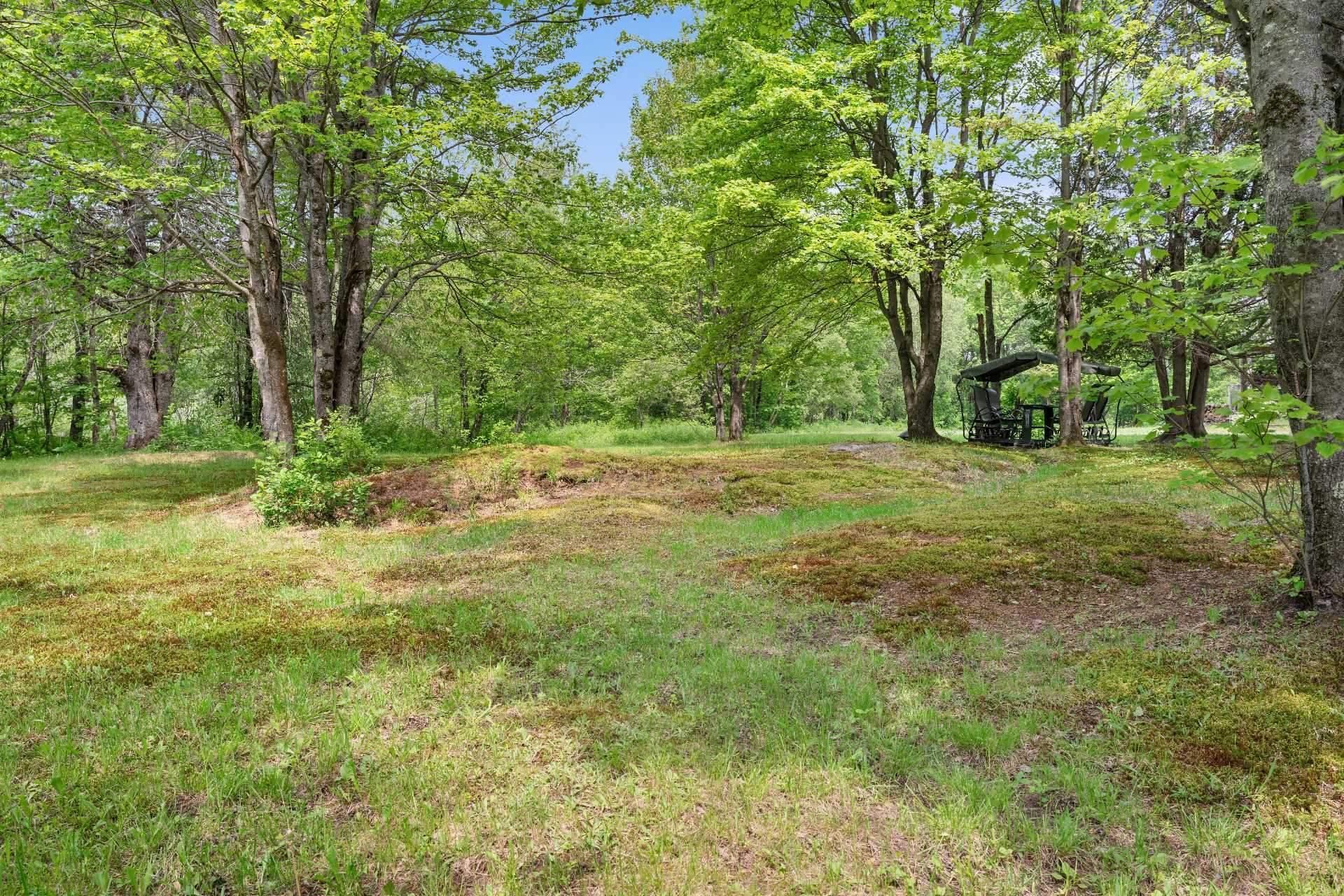 









448


Crois. Lacasse

,
Saint-Étienne-de-Bolton,




QC
J0E2E0

