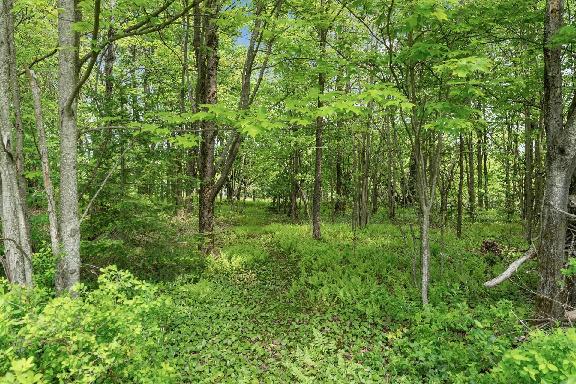 









448


Crois. Lacasse

,
Saint-Étienne-de-Bolton,




QC
J0E2E0

