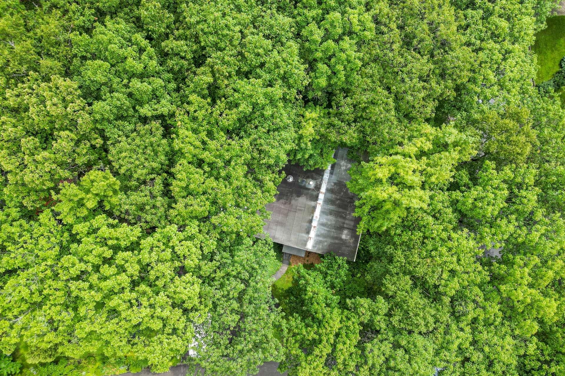 









3800


Rue Le Corbusier

,
Québec (Sainte-Foy/Sillery/Cap-Rouge),




QC
G1W4P4

