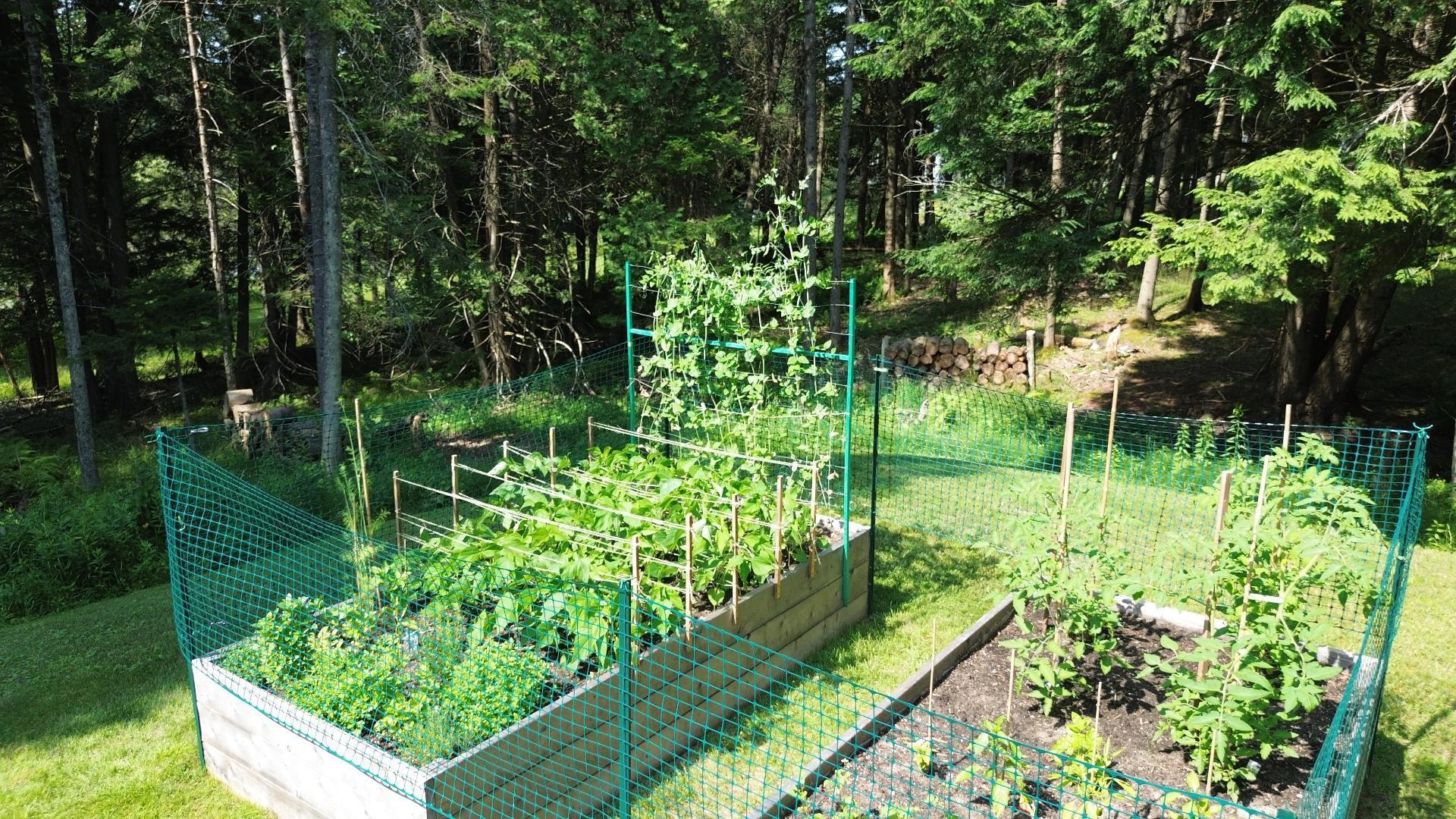 









4


Ch. McTavish

,
Stanstead - Canton,




QC
J0B1T0

