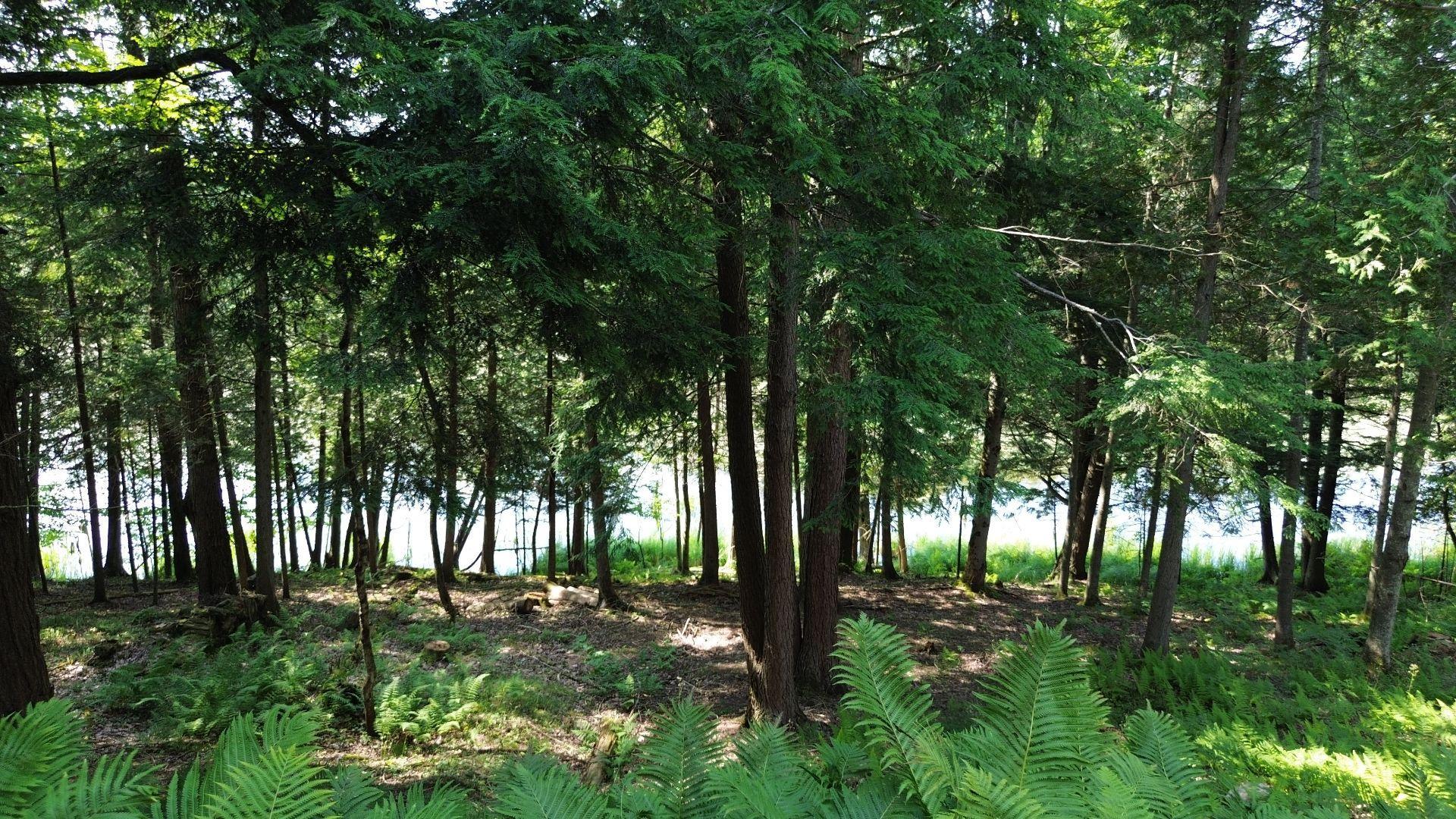 









4


Ch. McTavish

,
Stanstead - Canton,




QC
J0B1T0

