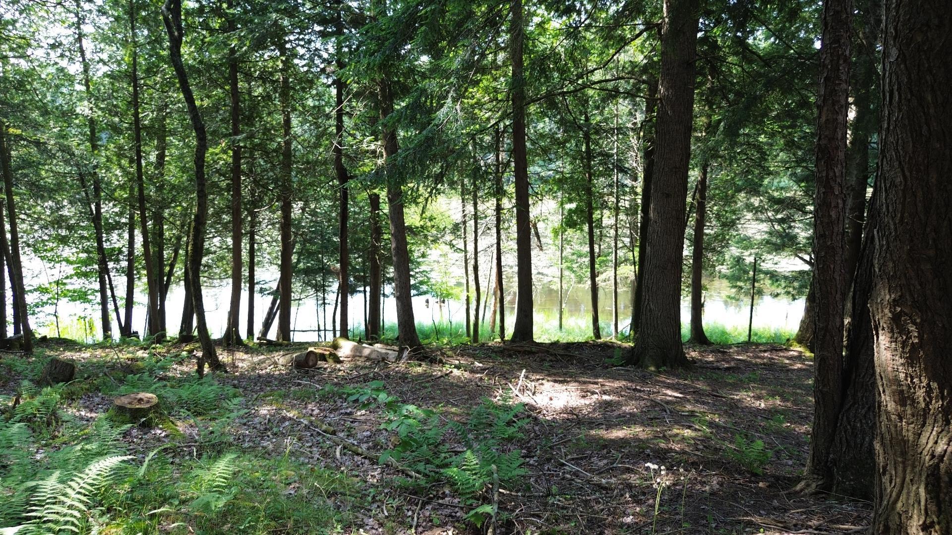 









4


Ch. McTavish

,
Stanstead - Canton,




QC
J0B1T0

