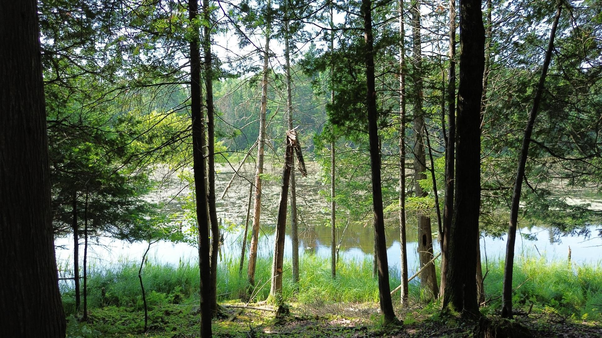 









4


Ch. McTavish

,
Stanstead - Canton,




QC
J0B1T0

