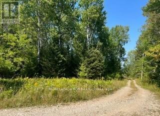 












25 I STREET

,
Cockburn Island,







Ontario
P0P1R0

