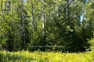 












25 I STREET

,
Cockburn Island,







Ontario
P0P1R0

